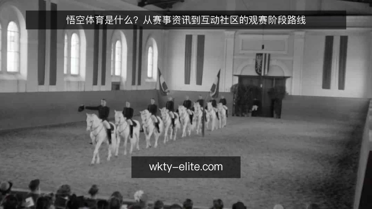 悟空体育是什么?从赛事资讯到互动社区的观赛阶段路线