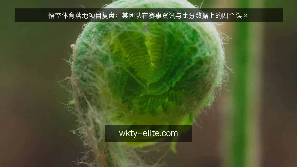 悟空体育落地项目复盘:某团队在赛事资讯与比分数据上的四个误区